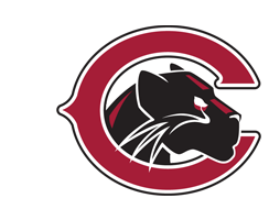 Panther Softball Camps